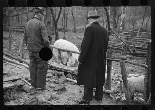 Untitled photo, possibly related to: Resettlement Administration representative at door of rehabilitation client's house, Jackson County, Ohio