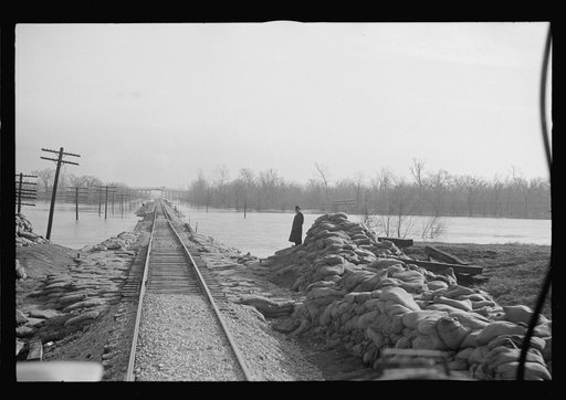 Untitled photo, possibly related to: View taken from train en route to Forrest City, Arkansas from Memphis, Tennessee during the flood