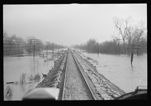 Untitled photo, possibly related to: View taken from train en route to Forrest City, Arkansas from Memphis, Tennessee during the flood