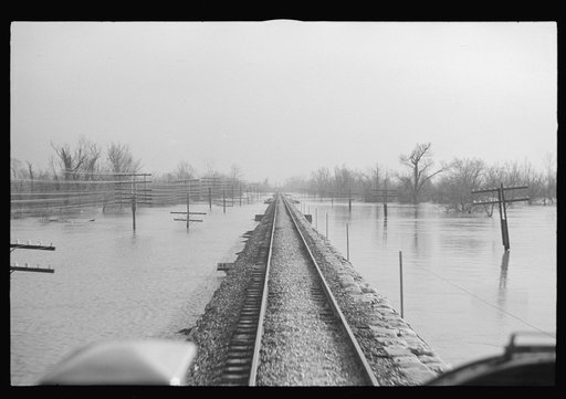Untitled photo, possibly related to: View taken from train en route to Forrest City, Arkansas from Memphis, Tennessee during the flood