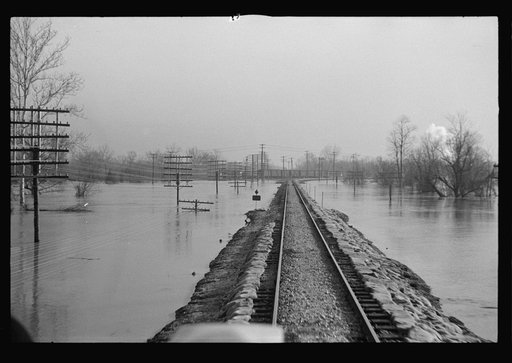 Untitled photo, possibly related to: View taken from train en route to Forrest City, Arkansas from Memphis, Tennessee during the flood