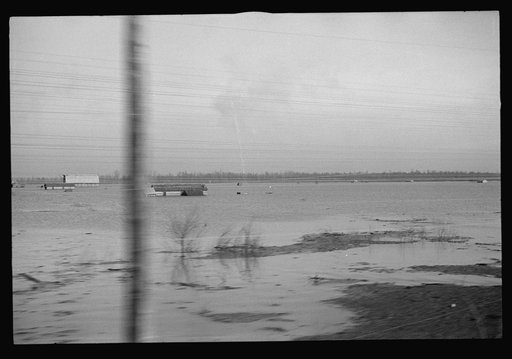 Untitled photo, possibly related to: View taken from train en route to Forrest City, Arkansas from Memphis, Tennessee during the flood