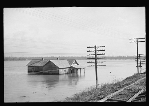 View taken from train en route to Forrest City, Arkansas from Memphis, Tennessee during the flood