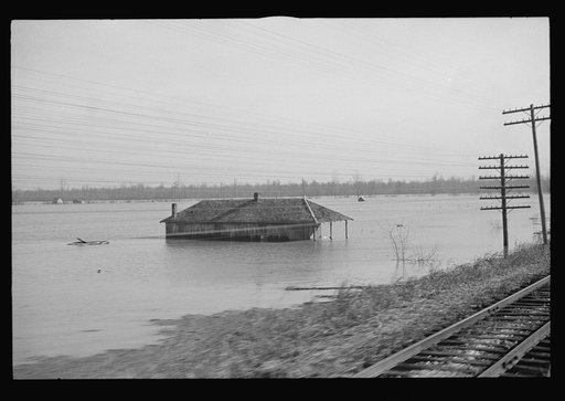 Untitled photo, possibly related to: View taken from train en route to Forrest City, Arkansas from Memphis, Tennessee during the flood
