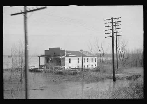Untitled photo, possibly related to: View taken from train en route to Forrest City, Arkansas from Memphis, Tennessee during the flood