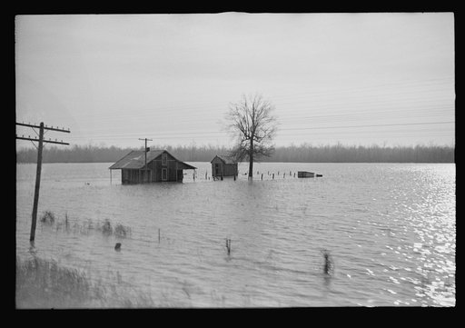 Untitled photo, possibly related to: View taken from train en route to Forrest City, Arkansas from Memphis, Tennessee during the flood