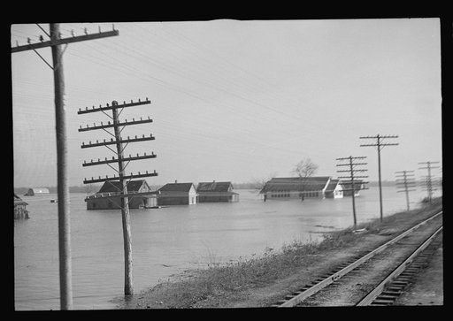 Untitled photo, possibly related to: View taken from train en route to Forrest City, Arkansas from Memphis, Tennessee during the flood