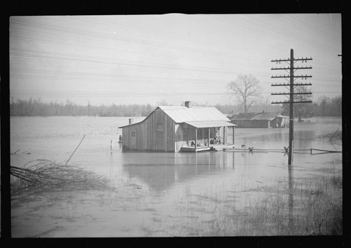 Untitled photo, possibly related to: View taken from train en route to Forrest City, Arkansas from Memphis, Tennessee during the flood