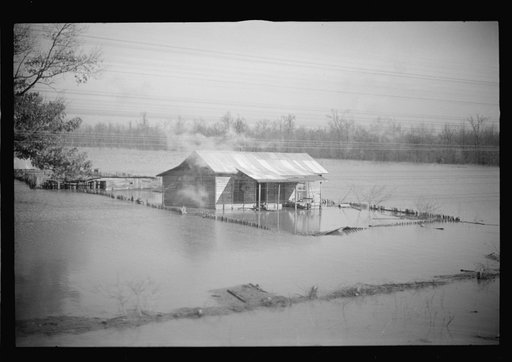 View taken from train en route to Forrest City, Arkansas from Memphis, Tennessee during the flood