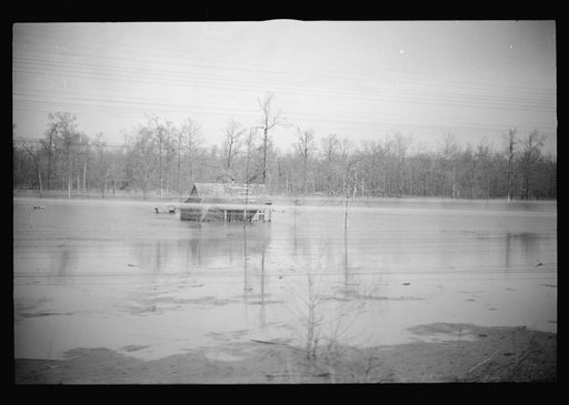 Untitled photo, possibly related to: View taken from train en route to Forrest City, Arkansas from Memphis, Tennessee during the flood