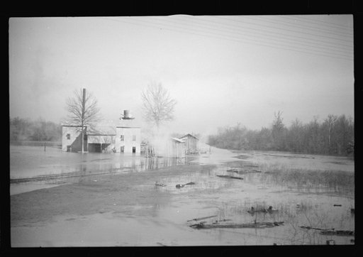 Untitled photo, possibly related to: View taken from train en route to Forrest City, Arkansas from Memphis, Tennessee during the flood