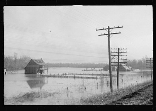 Untitled photo, possibly related to: View taken from train en route to Forrest City, Arkansas from Memphis, Tennessee during the flood