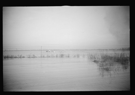 Untitled photo, possibly related to: View taken from train en route to Forrest City, Arkansas from Memphis, Tennessee during the flood
