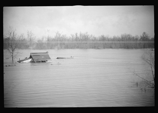 Untitled photo, possibly related to: View taken from train en route to Forrest City, Arkansas from Memphis, Tennessee during the flood
