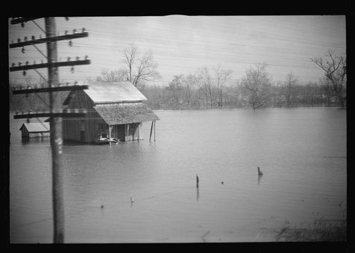 Untitled photo, possibly related to: View taken from train en route to Forrest City, Arkansas from Memphis, Tennessee during the flood