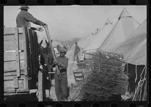 Untitled photo, possibly related to: A Negro flood refugee family who, with their rescued household goods have moved into the camp at Forrest City, Arkansas