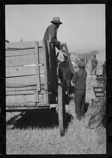 Untitled photo, possibly related to: A Negro flood refugee family who, with their rescued household goods have moved into the camp at Forrest City, Arkansas