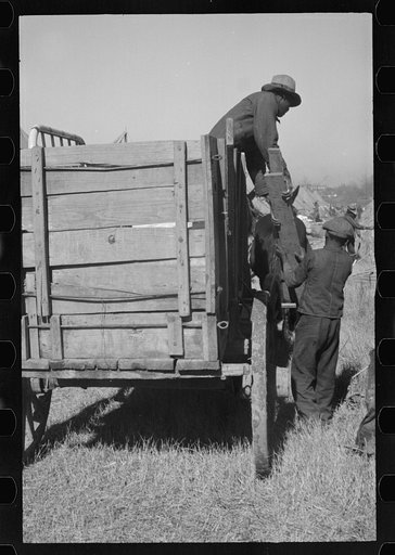 Untitled photo, possibly related to: A Negro flood refugee family who, with their rescued household goods have moved into the camp at Forrest City, Arkansas