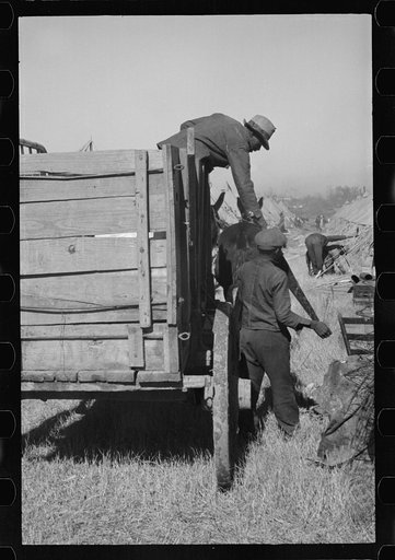 Untitled photo, possibly related to: A Negro flood refugee family who, with their rescued household goods have moved into the camp at Forrest City, Arkansas