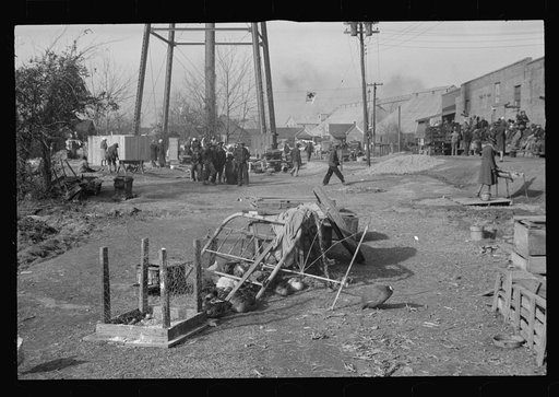 Untitled photo, possibly related to: Household goods and personal effects rescued from the path of the flood and brought to the camp at Forrest City, Arkansas