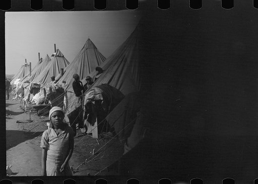 Untitled photo, possibly related to: A street of tents in the camp for flood refugees at Forrest City, Arkansas