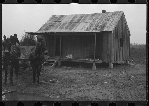Untitled photo, possibly related to: Families move out as rising waters threaten their homes, Ridgeley, Tennessee