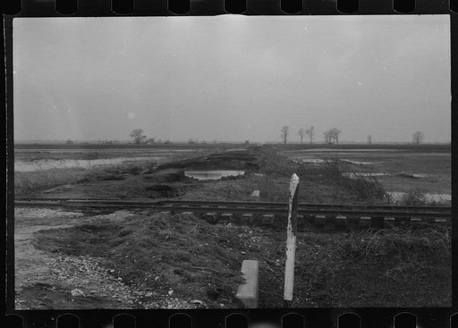 Untitled photo, possibly related to: Family on the move during the flood of 1937, Ridgeley, Tennessee
