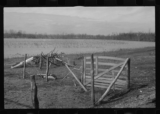 Untitled photo, possibly related to: Flooded farmland near Ridgeley, Tennessee