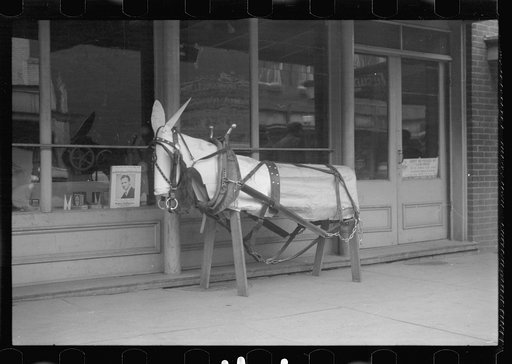 Harness-maker's shop, Russellville, Tennessee