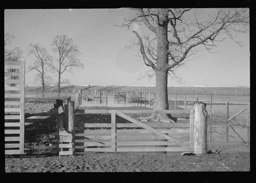 Untitled photo, possibly related to: Interior of house demolished by flood of 1937, Smithland, Kentucky