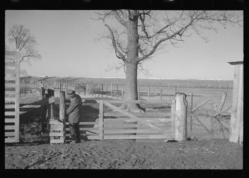 Untitled photo, possibly related to: Interior of house demolished by flood of 1937, Smithland, Kentucky