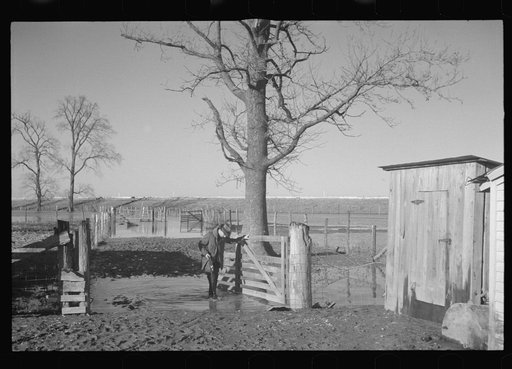 Untitled photo, possibly related to: Interior of house demolished by flood of 1937, Smithland, Kentucky