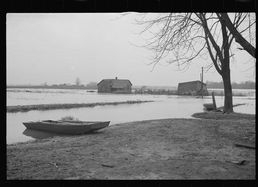 Flooded farmland near Ridgeley, Tennessee