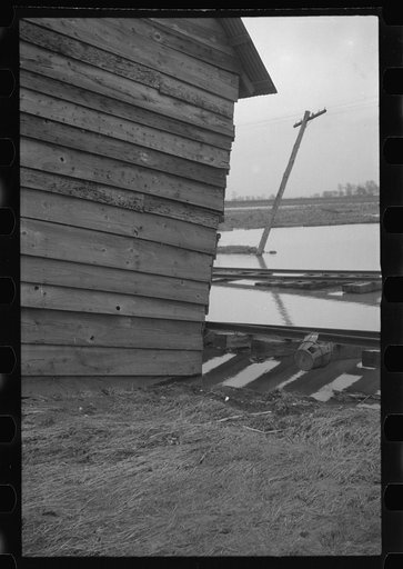Untitled photo, possibly related to: Flooded farmland near Ridgeley, Tennessee