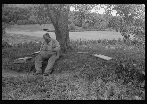 Fat man dozing in the shade of a tree, New Hampshire