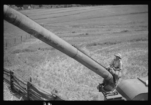 Untitled photo, possibly related to: Threshing, Brookeville, Maryland