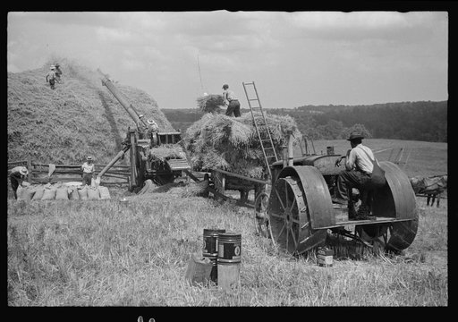 Threshing, Brookeville, Maryland
