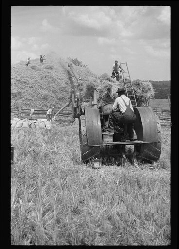 Threshing, Brookeville, Maryland