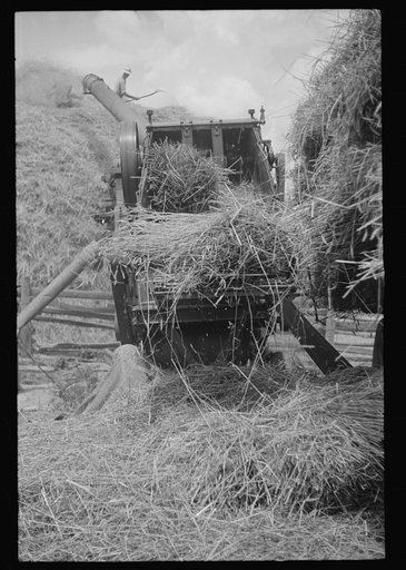 Untitled photo, possibly related to: Brookeville, Maryland. Baling hay