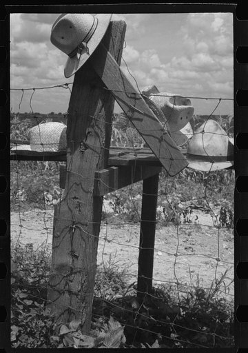 Threshers' hats, Brookeville, Maryland