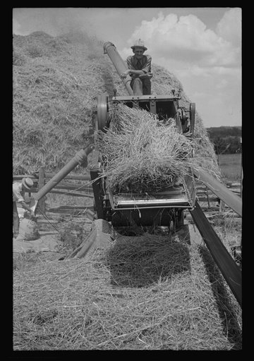 Untitled photo, possibly related to: Threshing oats, Brookeville, Maryland