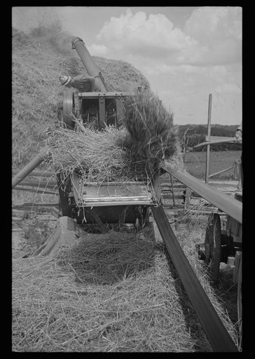Untitled photo, possibly related to: Threshing oats, Brookeville, Maryland