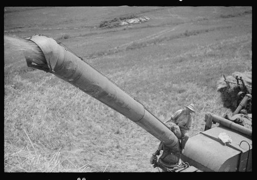 Threshing oats, Brookeville, Maryland