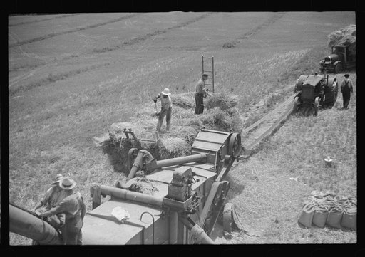 Untitled photo, possibly related to: Threshing oats, Brookeville, Maryland