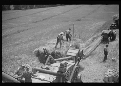 Untitled photo, possibly related to: Threshing oats, Brookeville, Maryland
