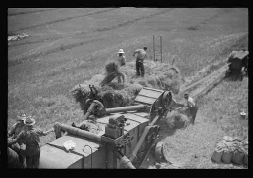 Untitled photo, possibly related to: Threshing oats, Brookeville, Maryland