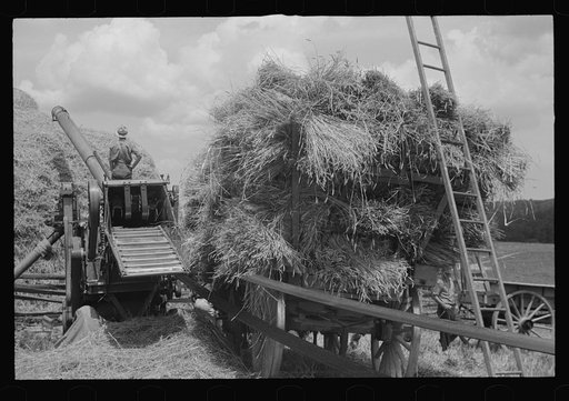 Threshing and baling, Brookeville, Maryland