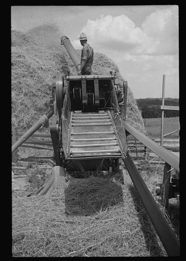 Untitled photo, possibly related to: Threshing and baling, Brookeville, Maryland