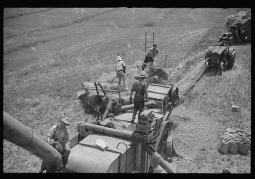 Threshing oats, Brookeville, Maryland