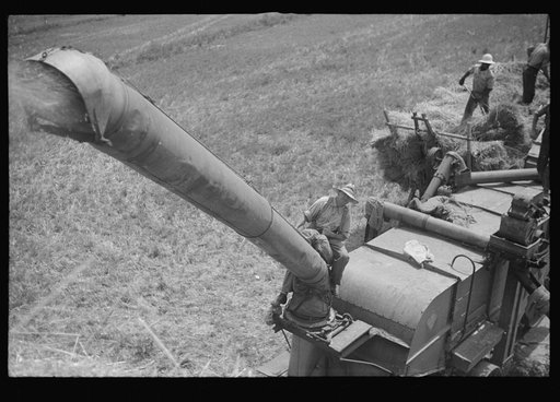 Untitled photo, possibly related to: Threshing oats, Brookeville, Maryland